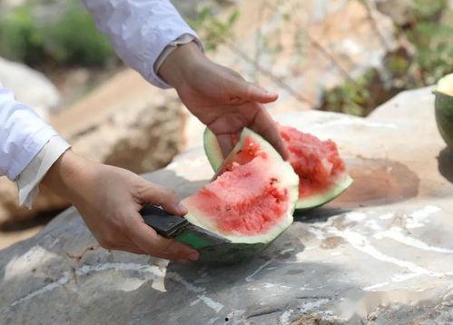 玉溪吃瓜事件,一场网络狂欢背后的真相与反思