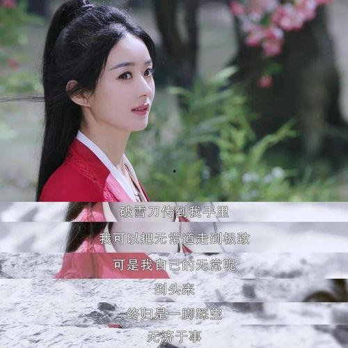 吃瓜追剧指南,吃瓜追剧指南，解锁热门剧集新视角