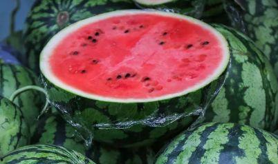 郭小仙儿吃瓜,揭秘娱乐圈幕后真相