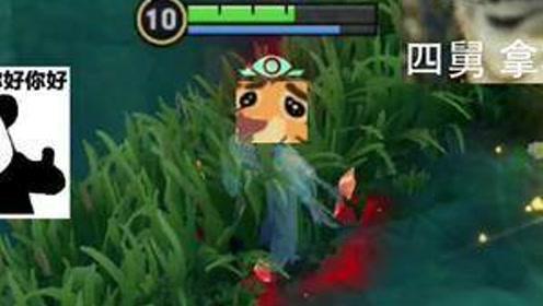 吃瓜妙妙屋的狗,揭秘狗狗的趣味生活