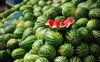 吃哪些瓜不会发胖